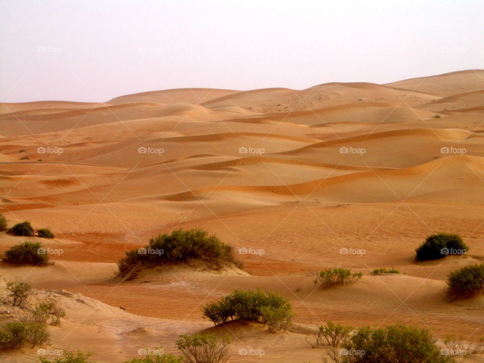 Sand dunes, United Arab Emirates (UAE)