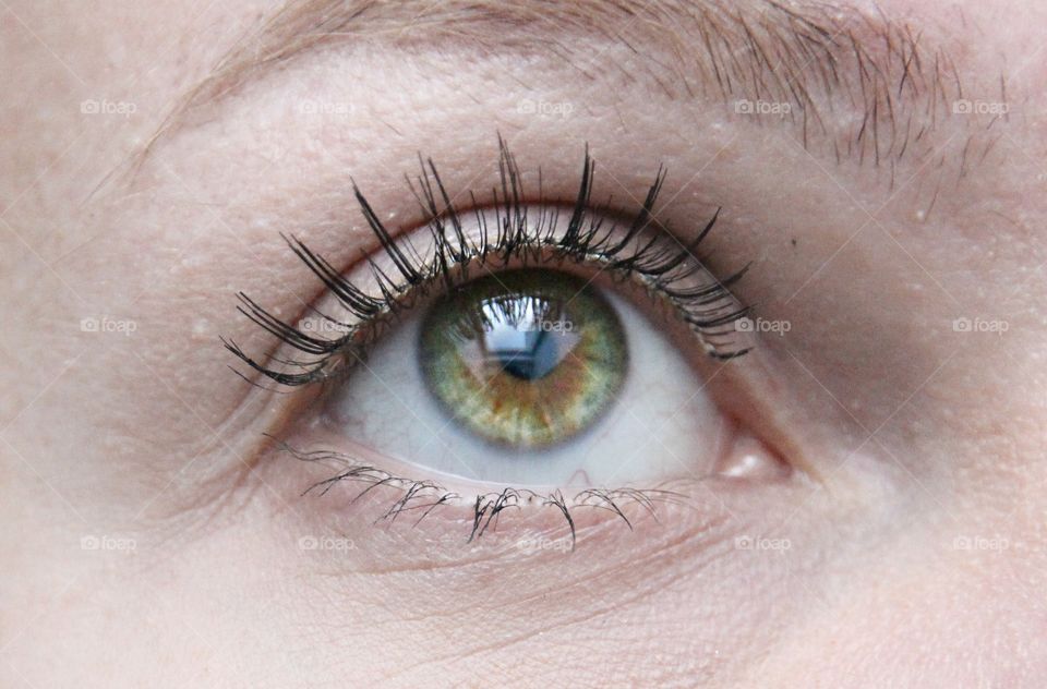 brown green hazel eye