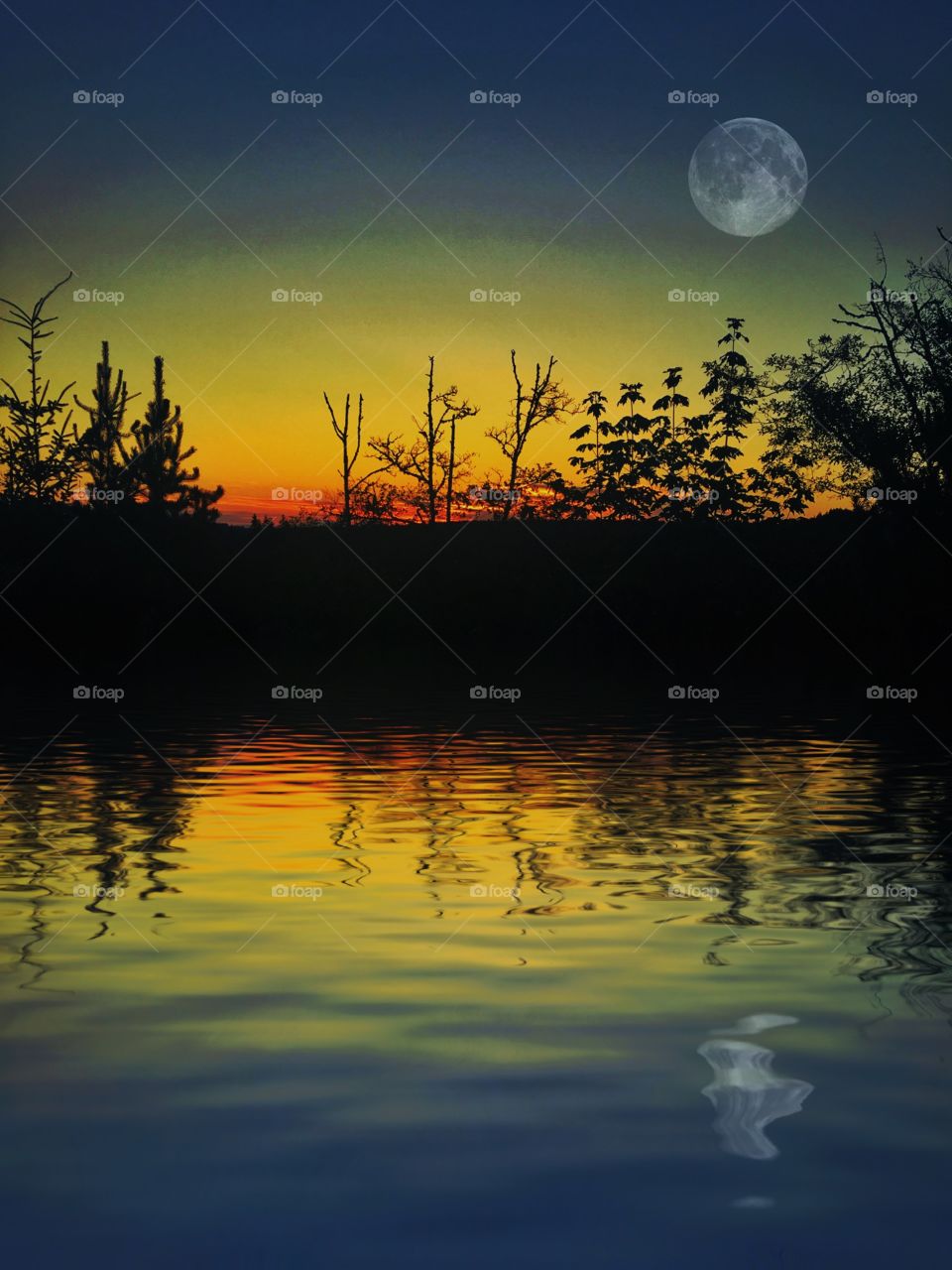 Sunrise Moon Reflection & Silhouette 