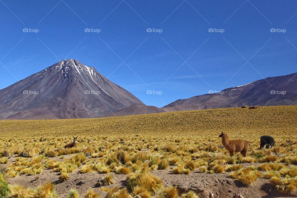 No Person, Volcano, Mountain, Desert, Outdoors