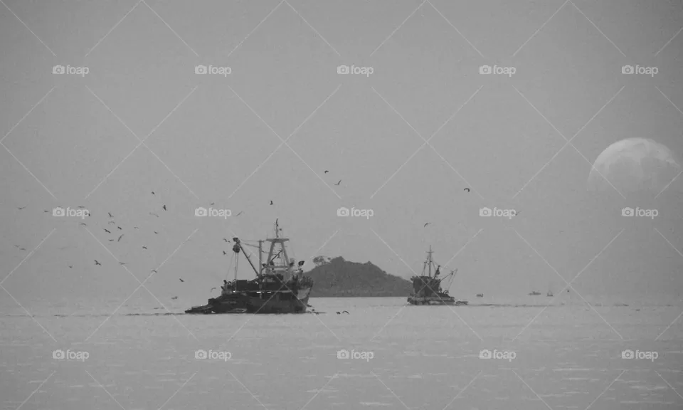 sea