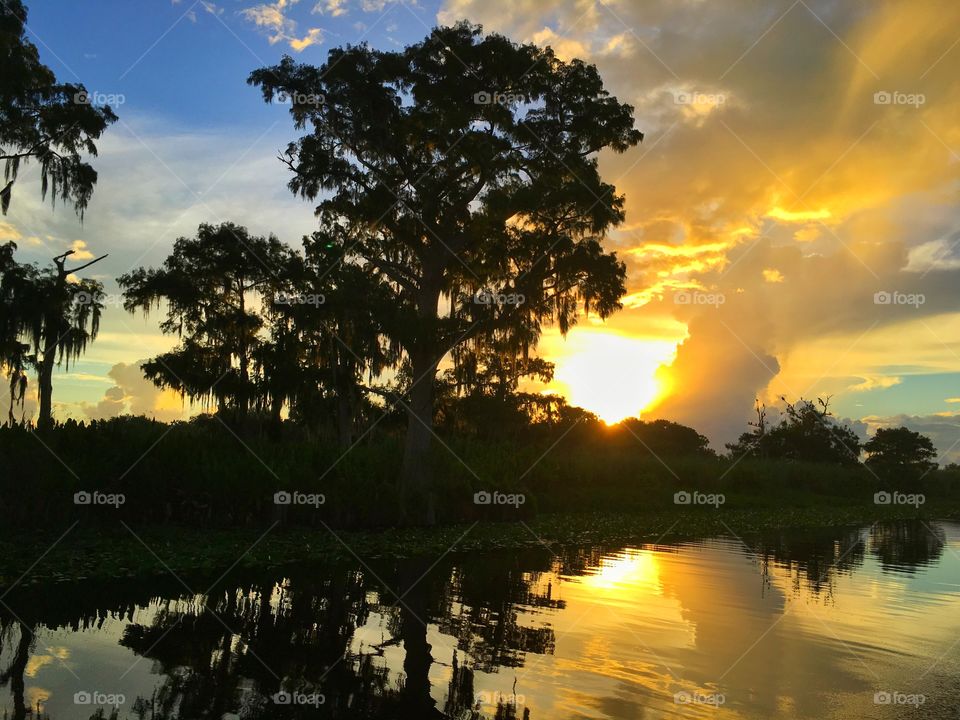 Sunset, No Person, Water, Dawn, Tree