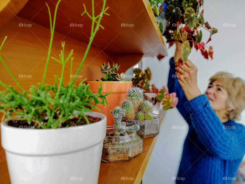 My kind of relaxation... Taking care of my beautiful plants