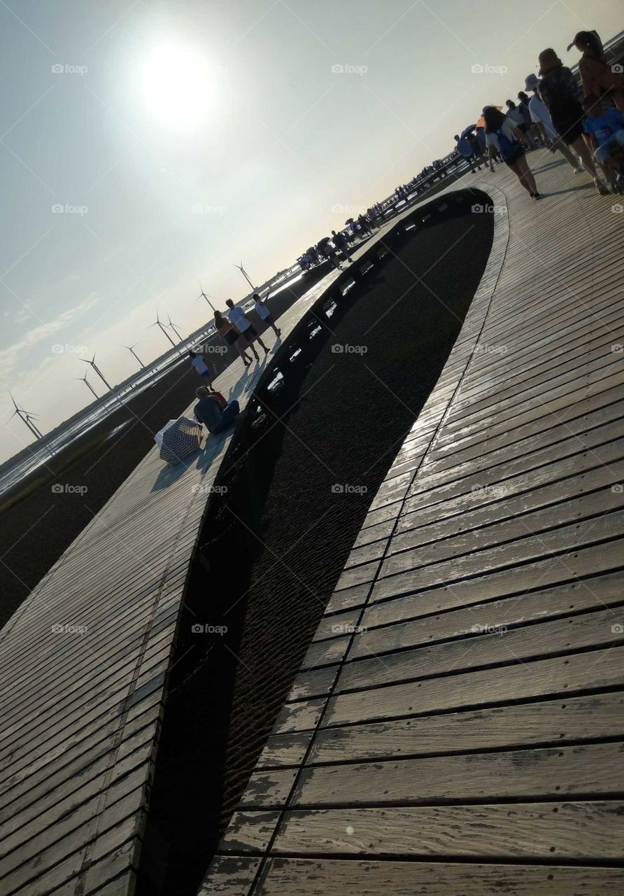 Silhouettes and shadows: boardwalk in wetland at dusk.