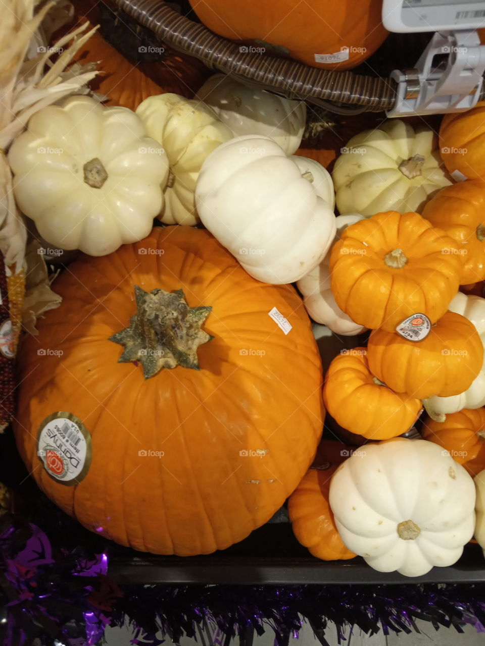 it's a pumpkin season