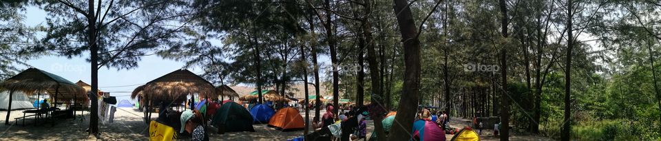 Camping in an Island