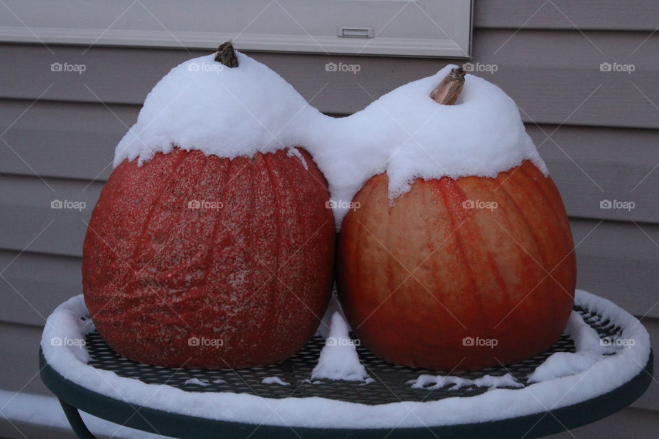 Snowy pumpkin