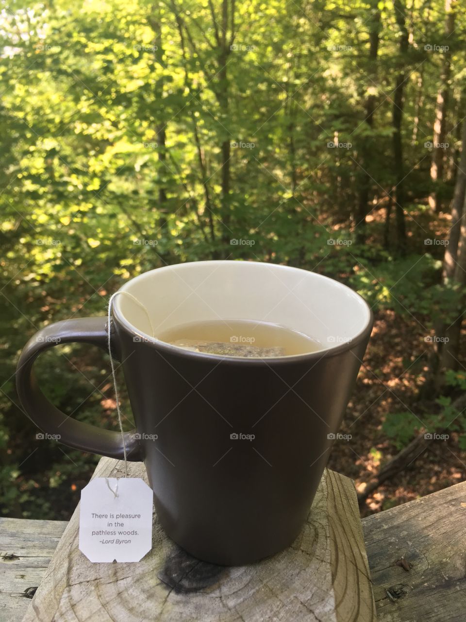Morning tea in the woods ❤️