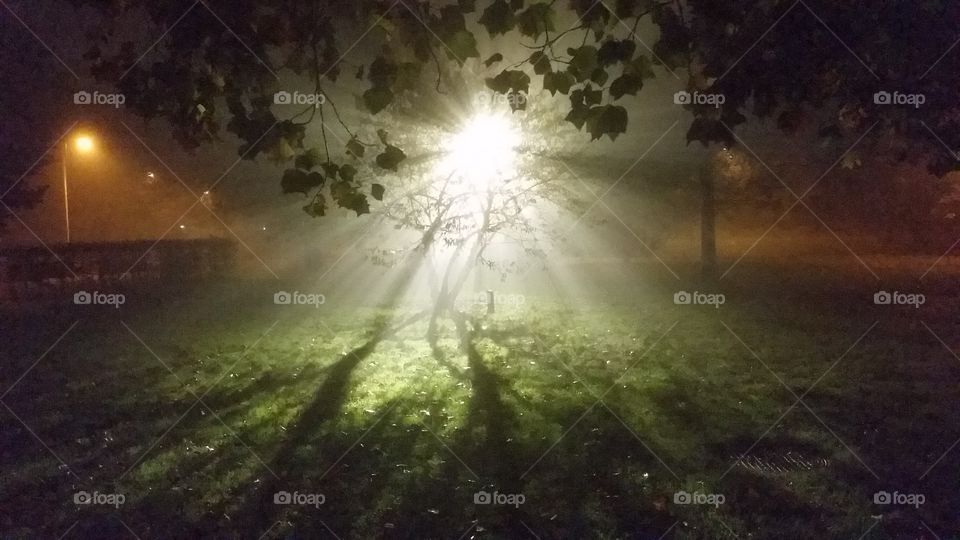 The light in The dark . It from a park in my town at night 