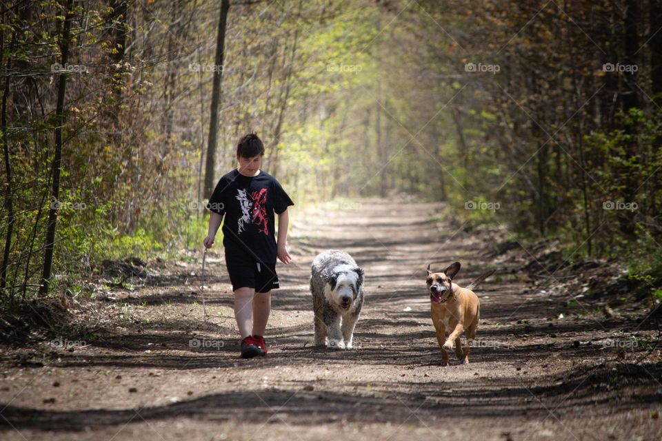 Person wearing black shirt and shorts taking the dogs for a walk in the woods on a trail.