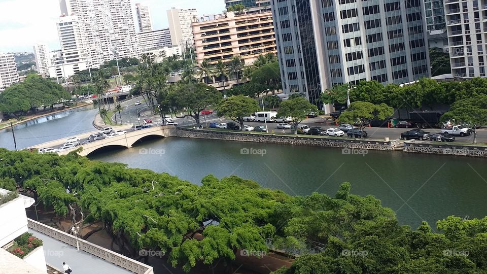 Ala Wai Canal
