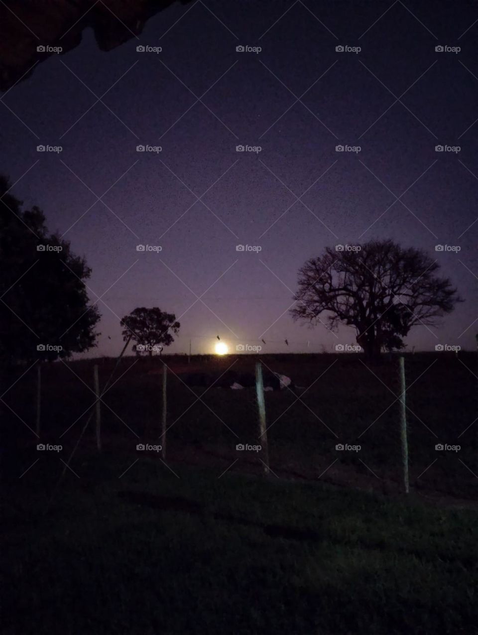 night in the countryside