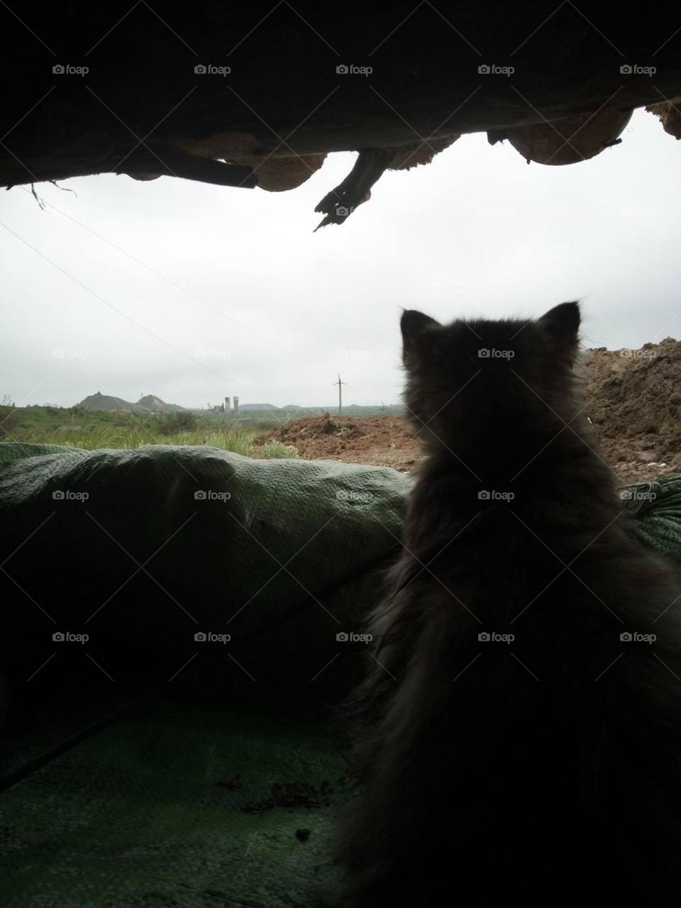 A look into the future