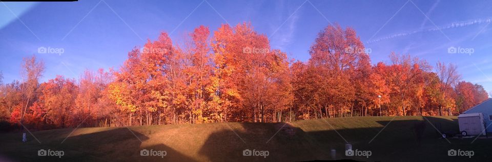 Falls end. iPhone panoramic though some sun glasses 