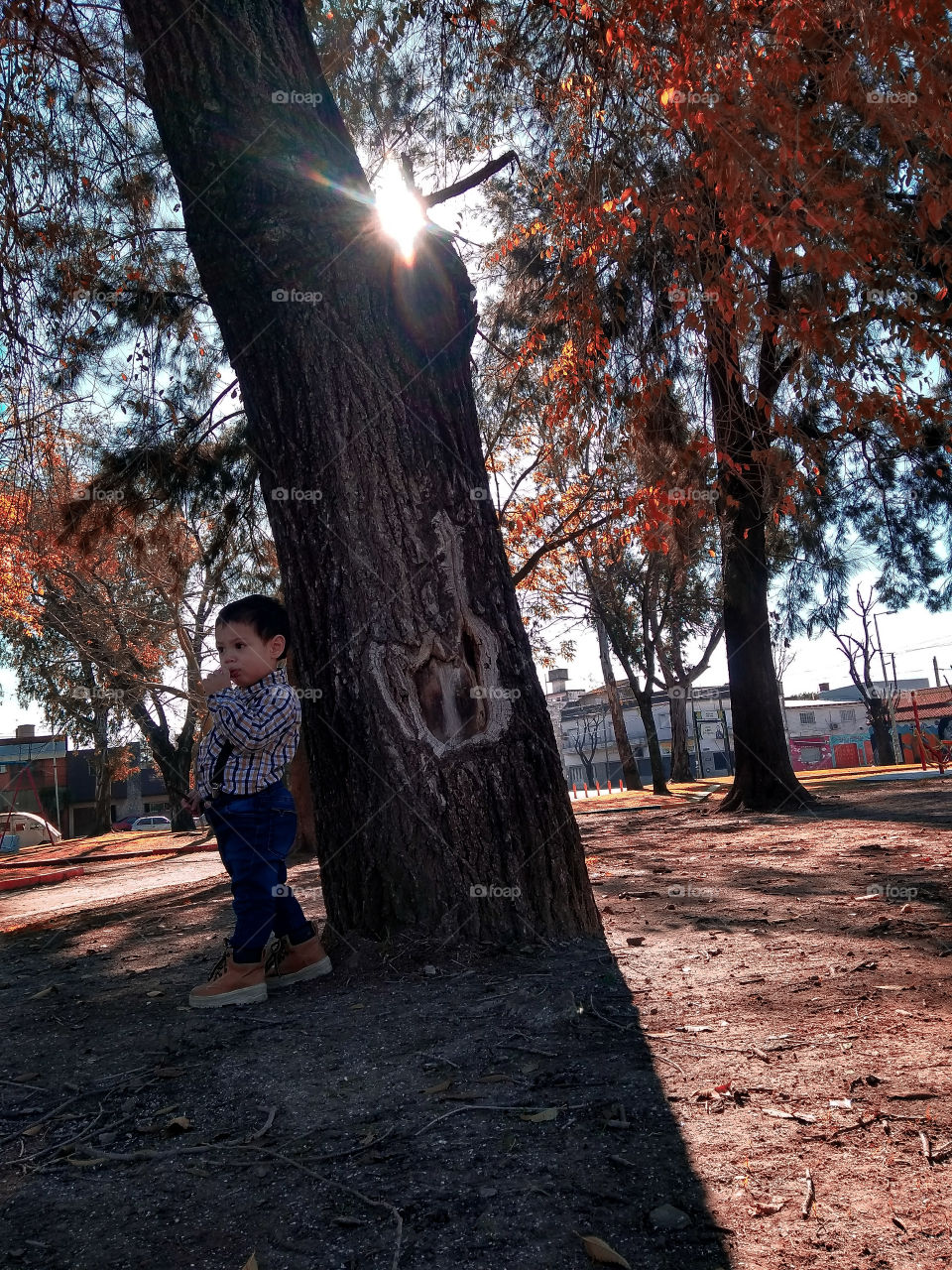 observando, creciendo... mañana otoñal.
