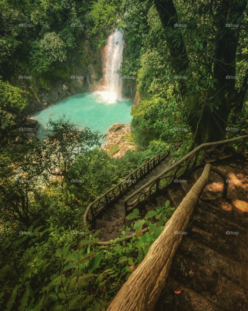Water, Wood, Waterfall, Nature, Travel