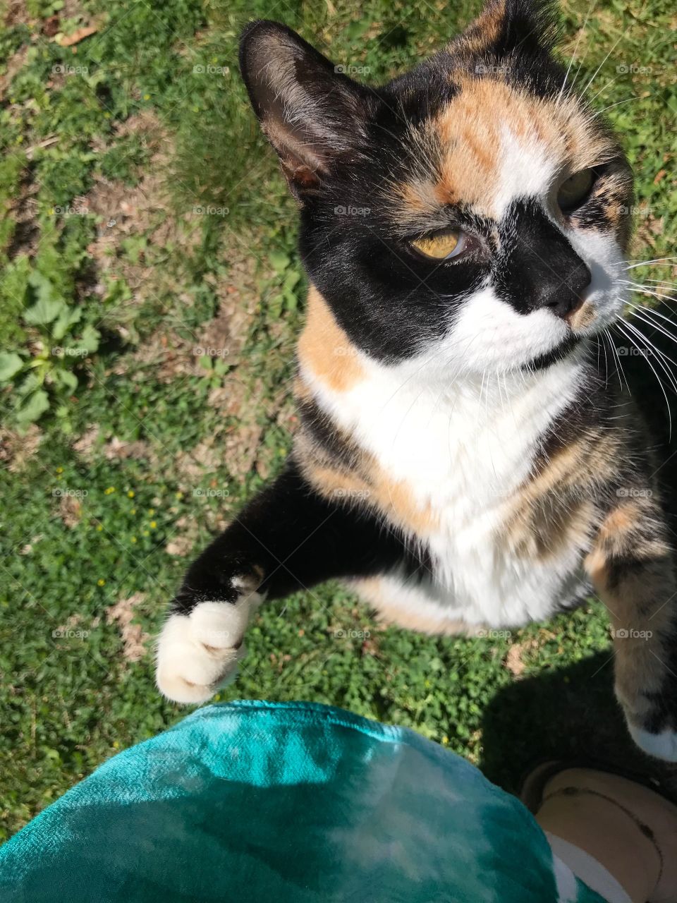 Standing up to get attention 