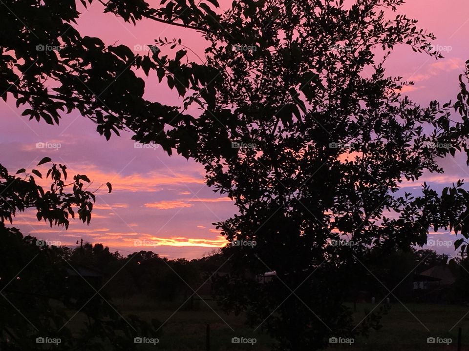 Texas sunset. 