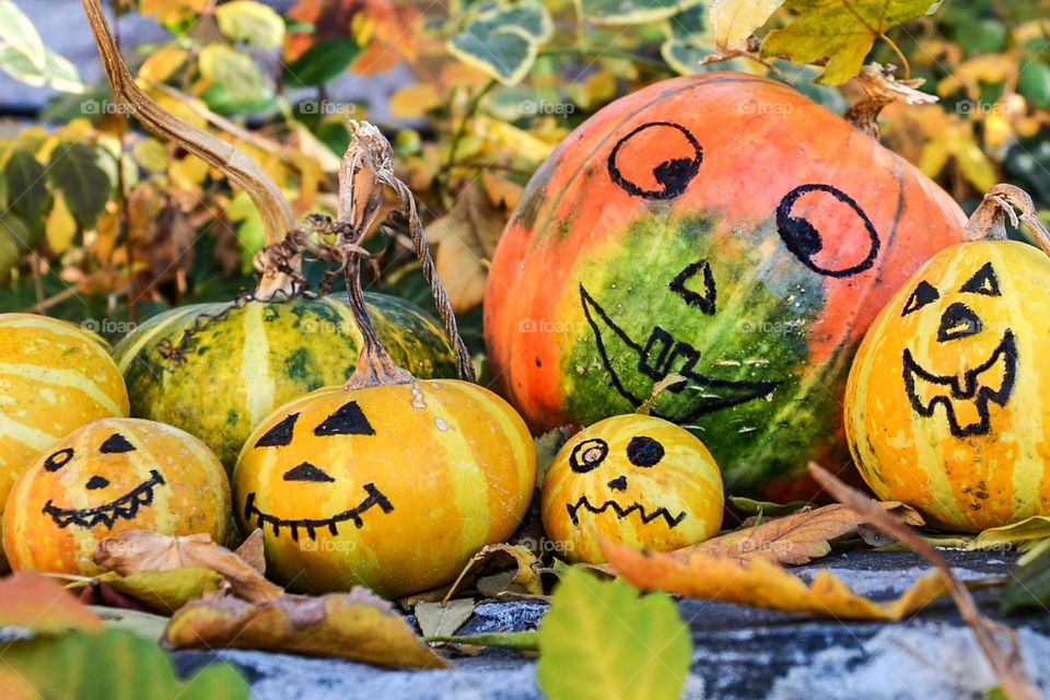 Autumn Season, Pumpkins