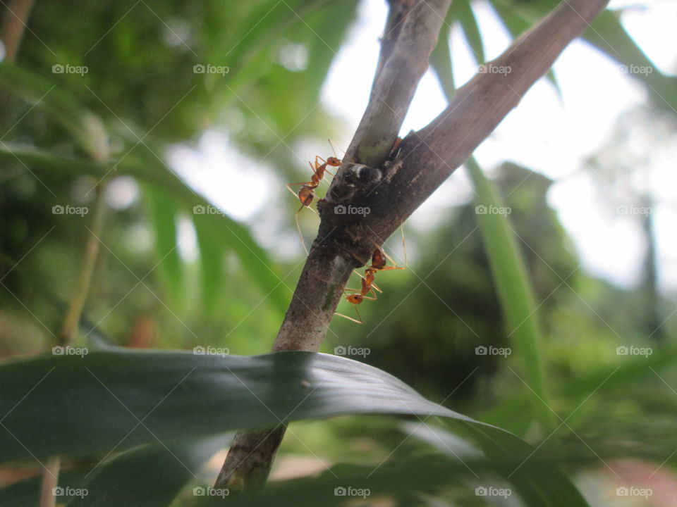 nature and beauty...