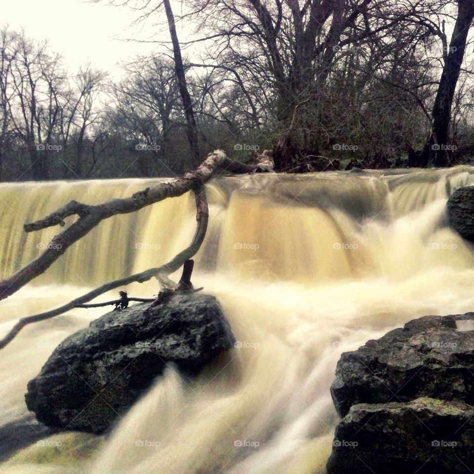 winter tree water river by jasonoleham