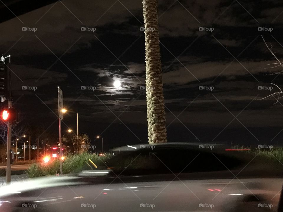 Night
Moon
Cloud
Palm tree