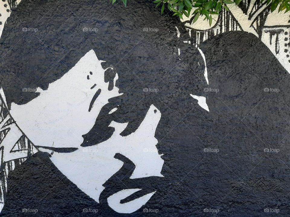 Visual Street Art - Ice Cube