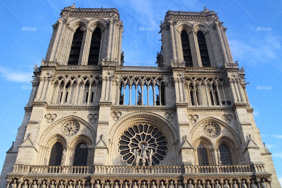 Notre dame 