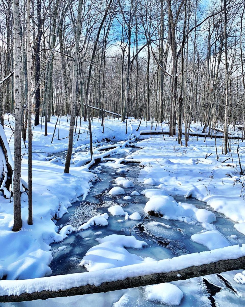 Snow, Winter, Cold, Frost, Ice