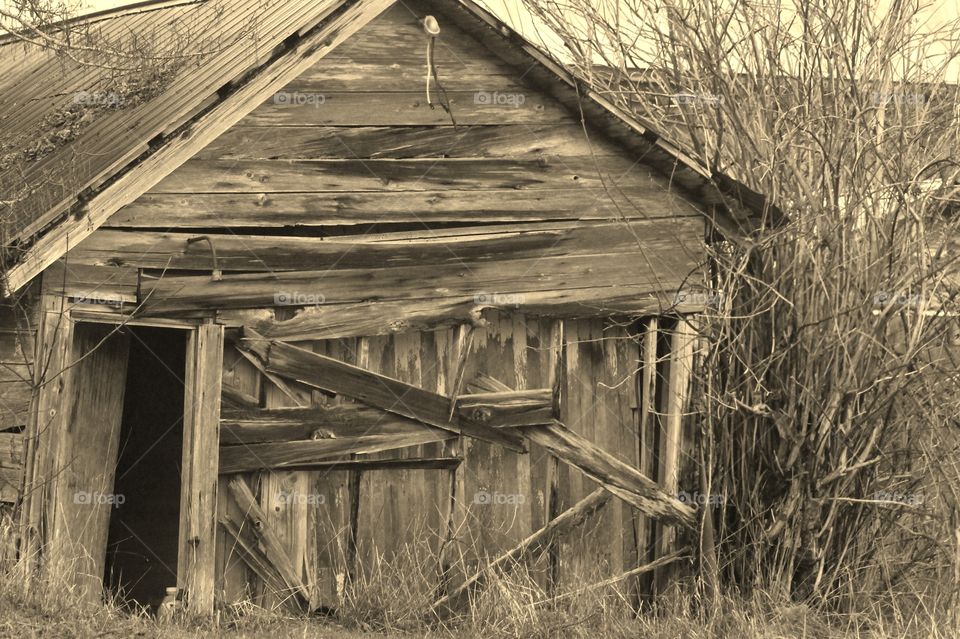 A sepia toned shot of an old barn. The tones of the weathered wood make an interesting textured photo. 