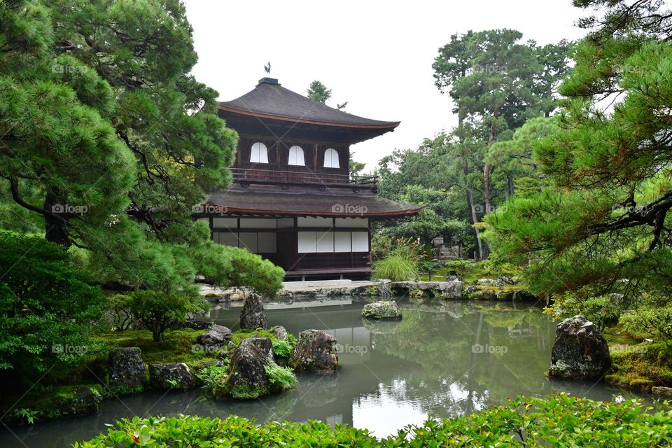 Japanese garden