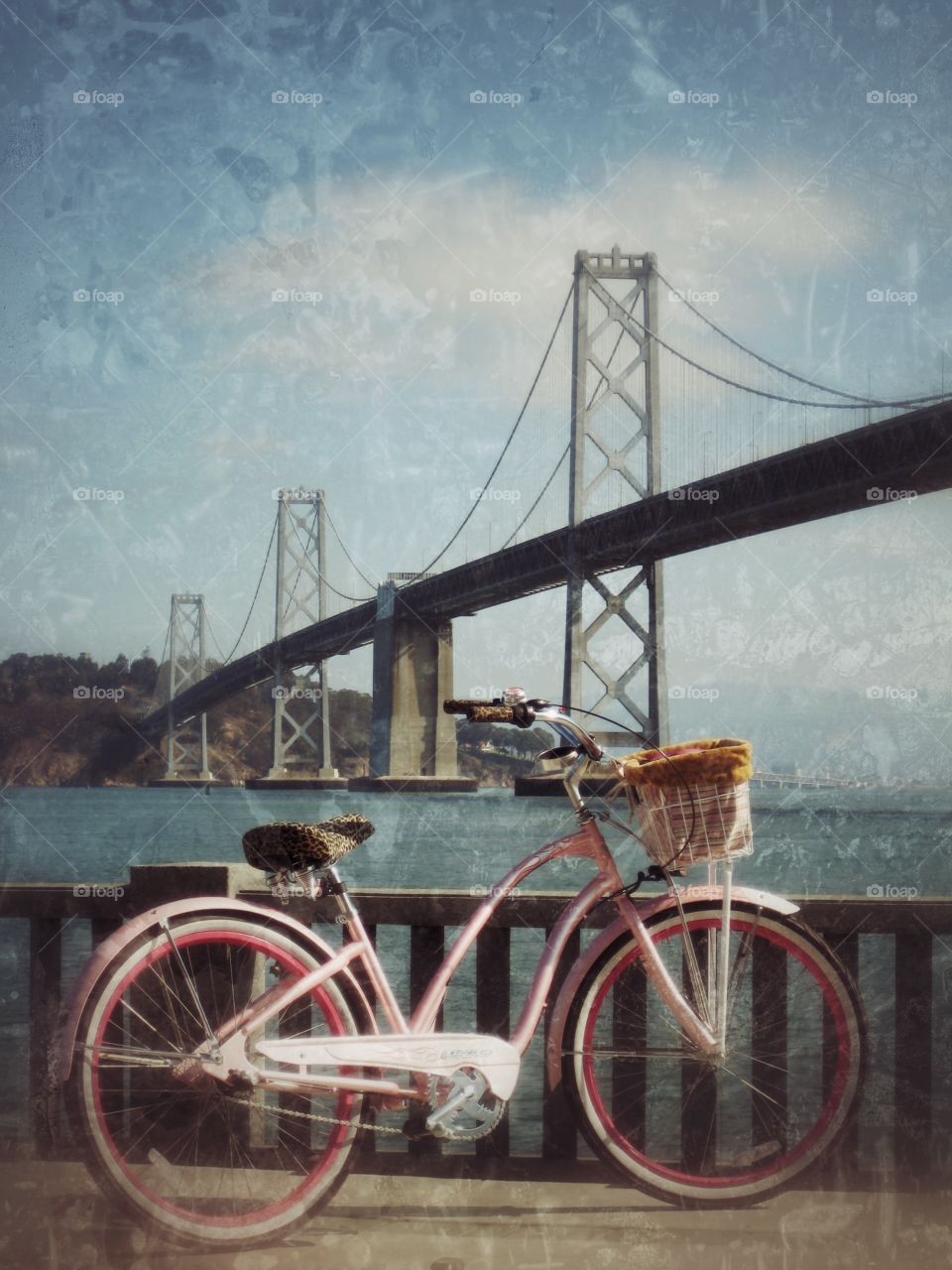 Bay bridge cruise. Cruise from the Bay Bridge to the Golden Gate Bridge