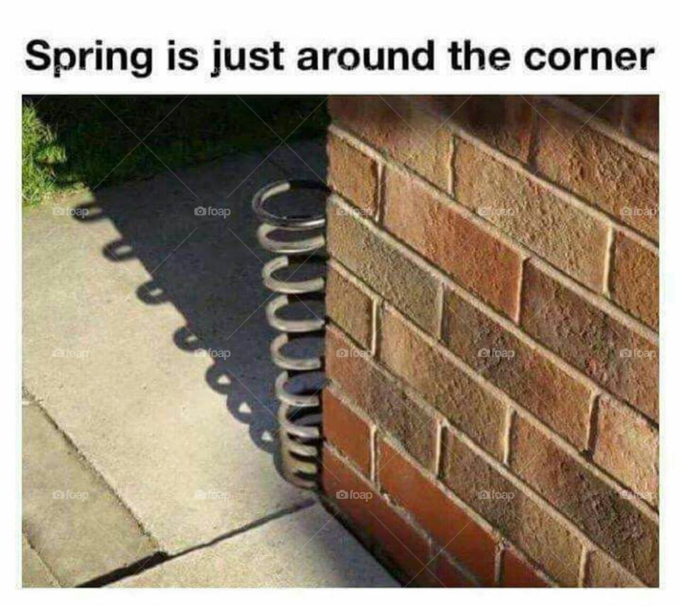 Spring has sprung