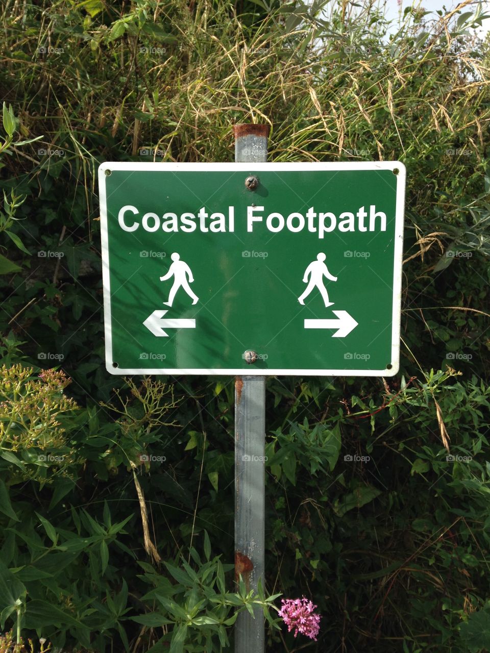 Hiking the coastal path