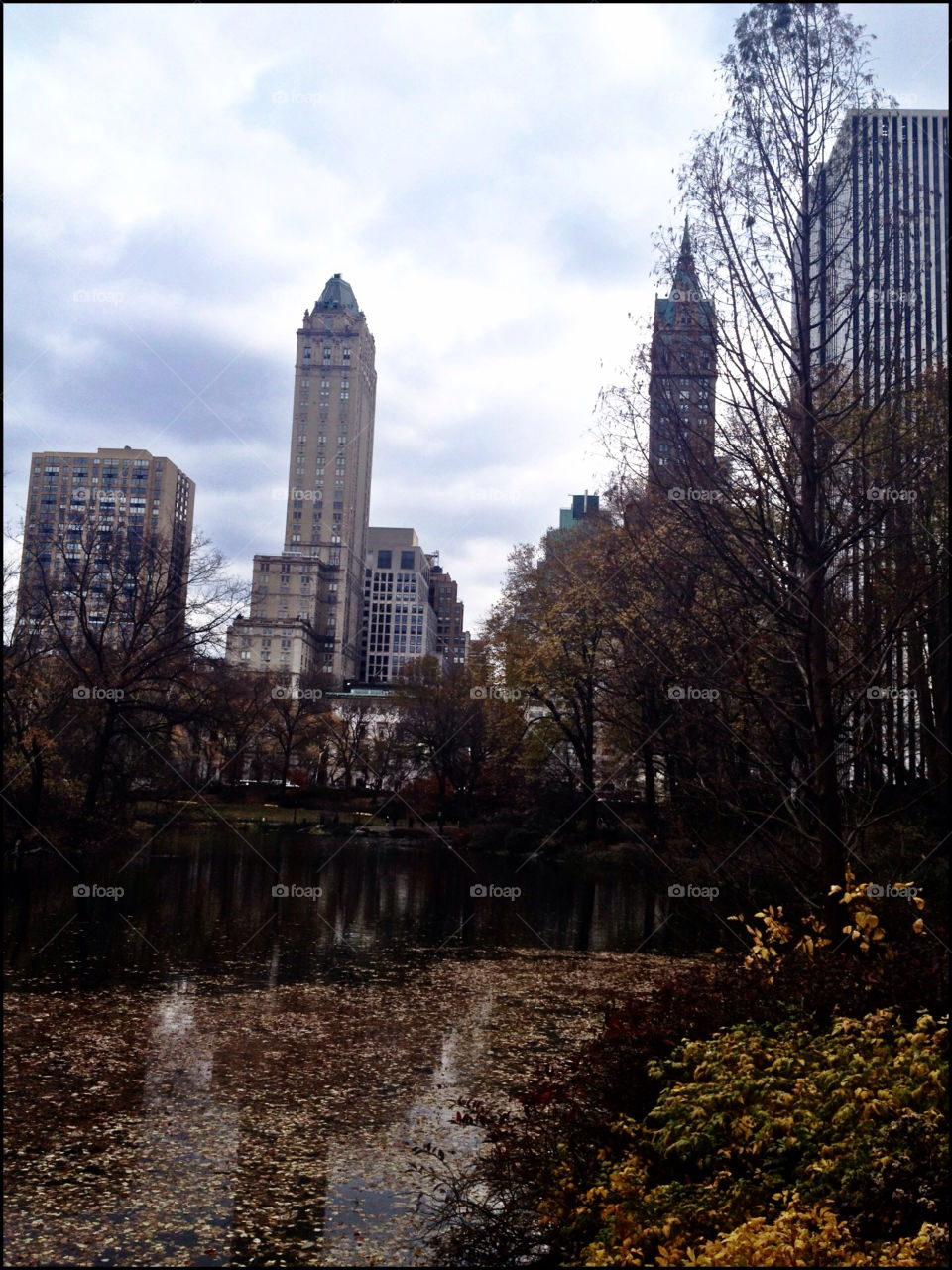 park central by karla4mois