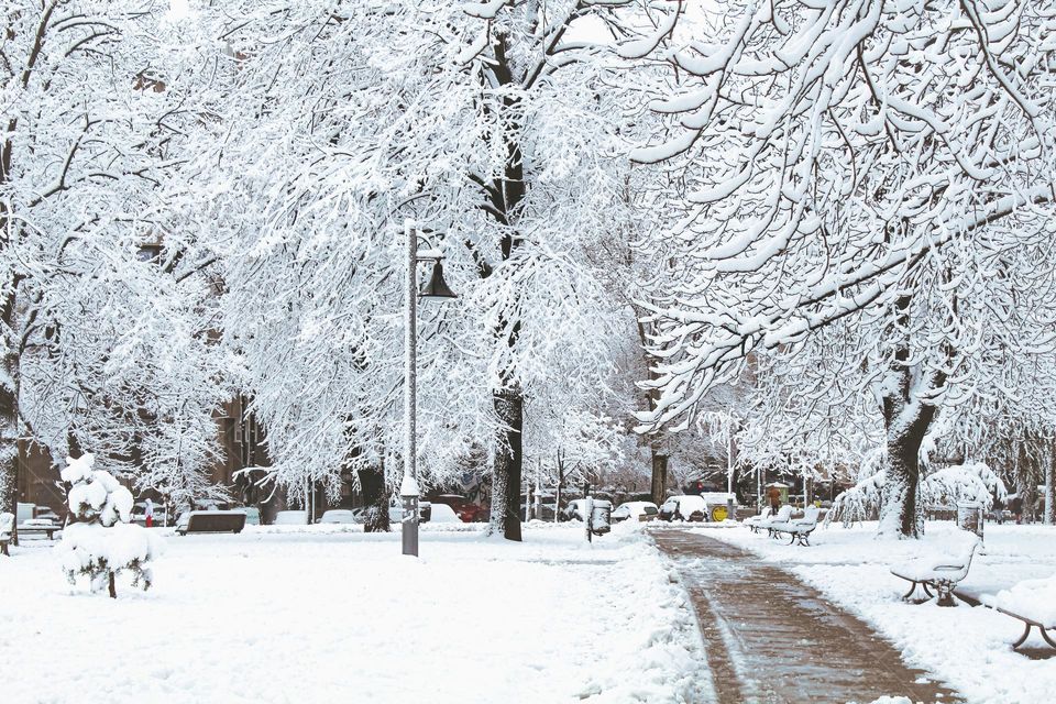 Snow at the street and park