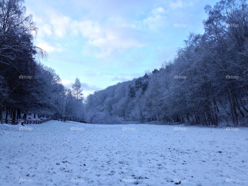 Snow, Winter, Cold, Frost, Frozen