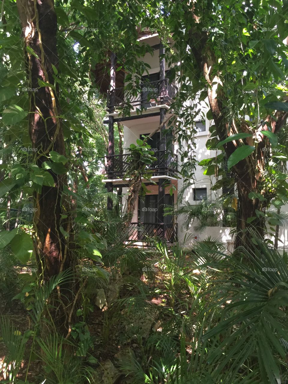 Reef Playacar in Mexico