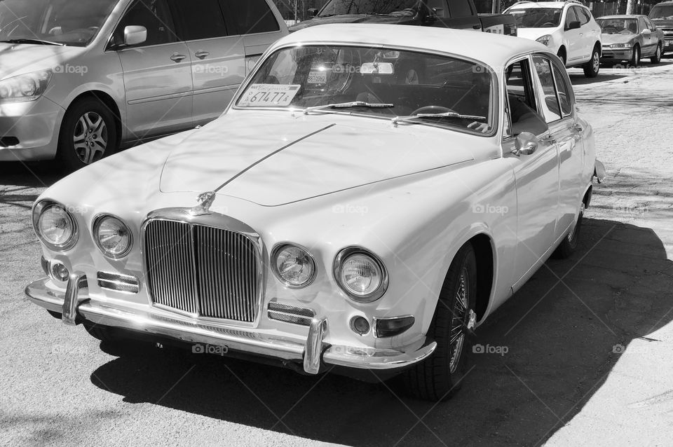 Vintage car jaguar