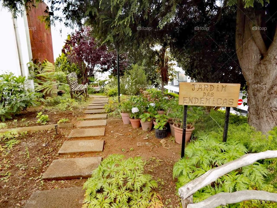 Jardim na Ilha da Madeira