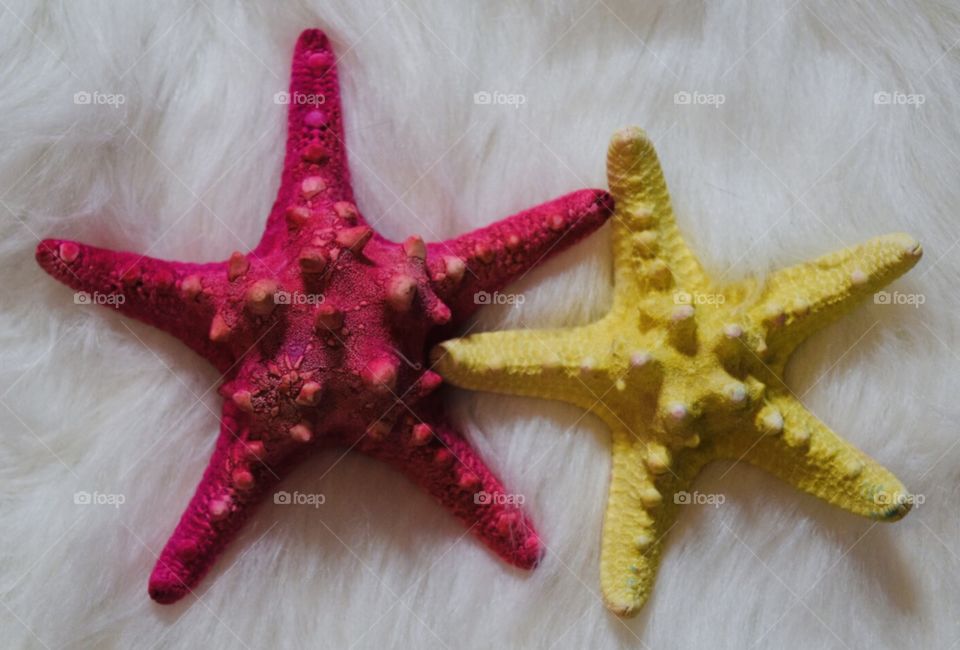 Colorful starfish pink and yellow 