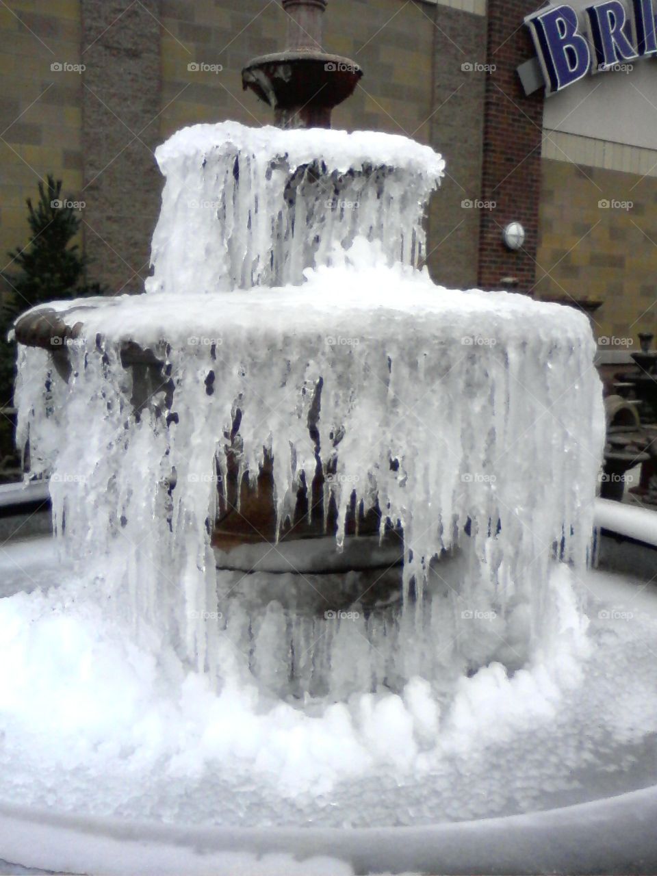 Frozen fountain. Fountain that froze. 