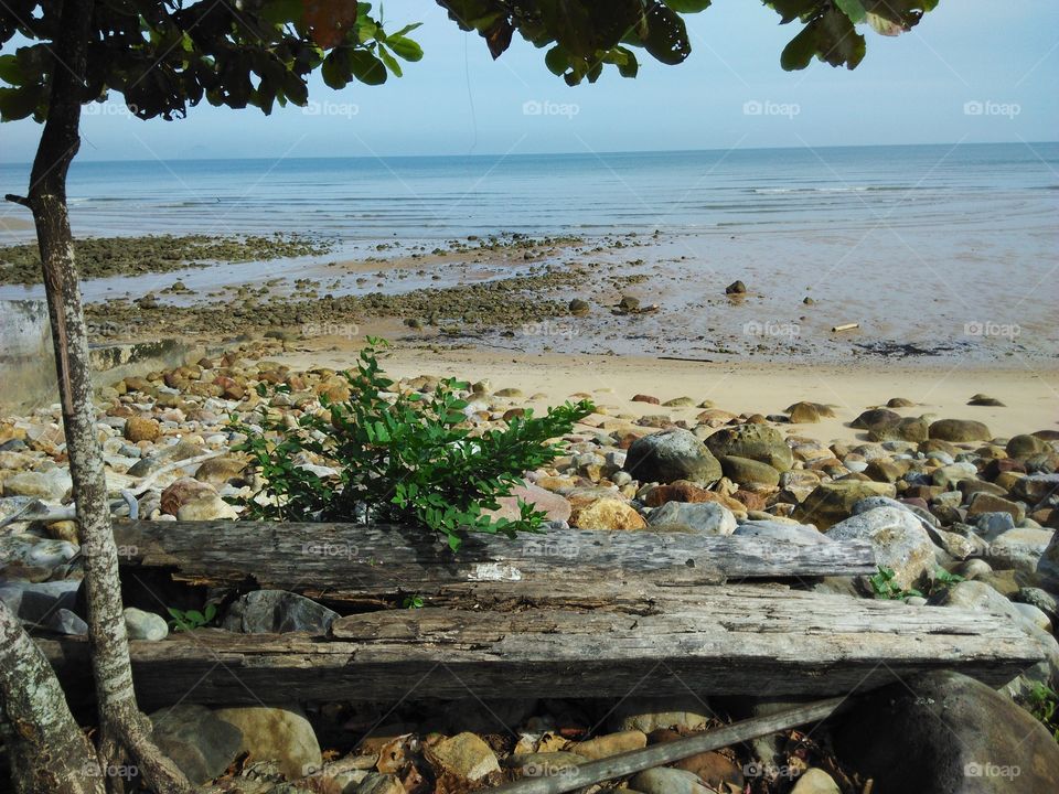 Drift wood bench. Saw this makeshift bench under the tree as a makeshift bench overlooking the ocean