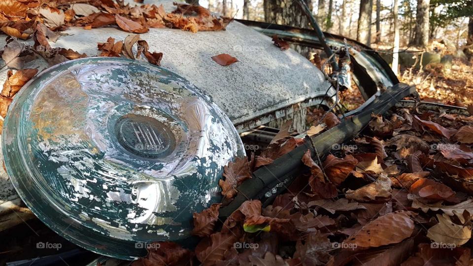 Detail of an old rusty car abandoned in a wood