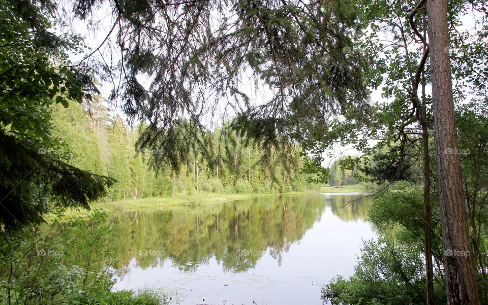 Lake on the island of Valaam