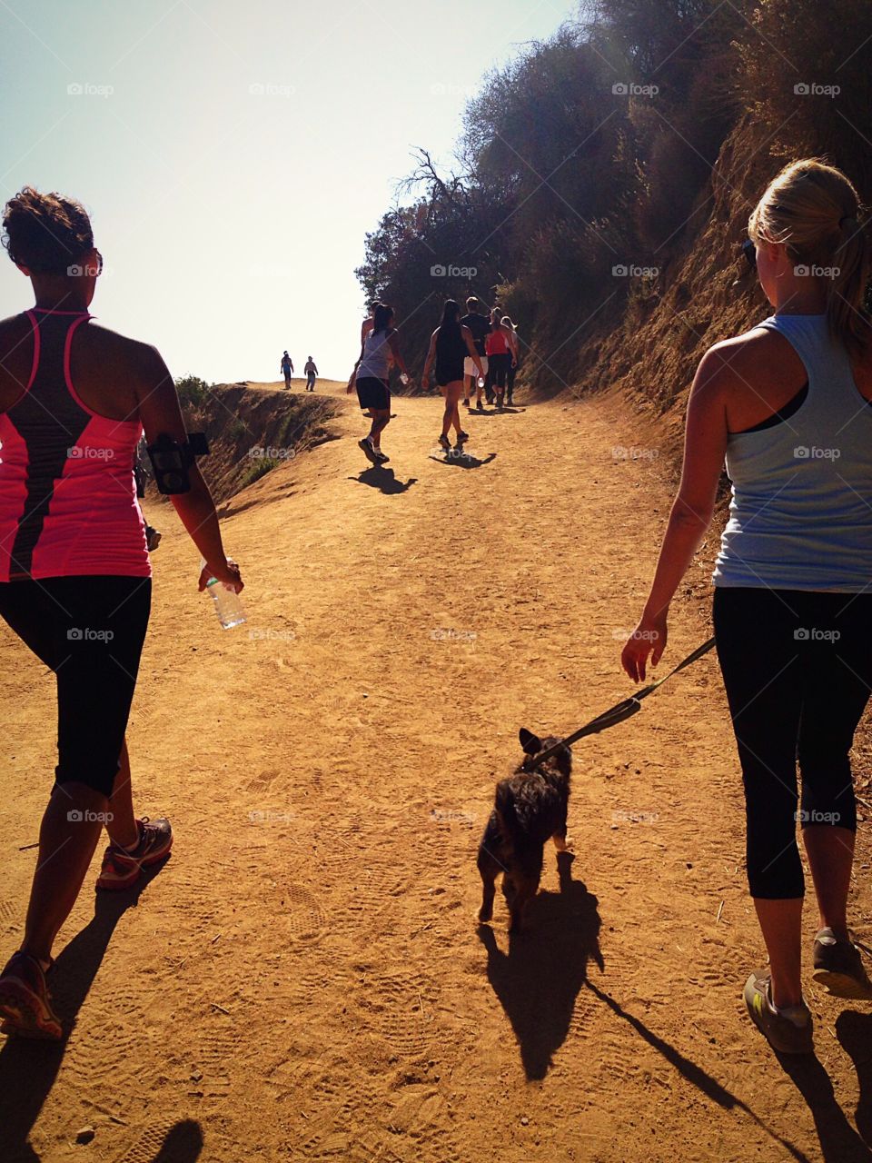 Hiking Hollywood hills