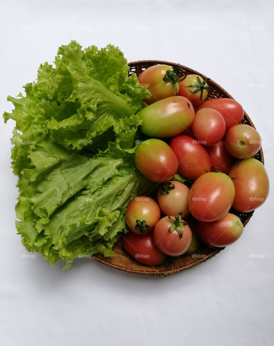 basket of lettuce and tomatoes