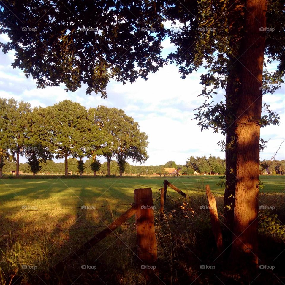 Beginning of summer. Taken during solstice near Soest, NL