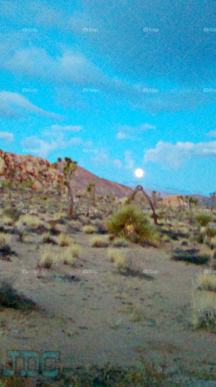 Palm Springs moon fading away to a sunny morning