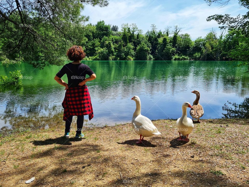 woman from behind observes the lake of Penne together with funny and curious geese